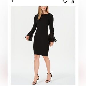 NWOT Chiffon Bell-Sleeve Sheath Dress